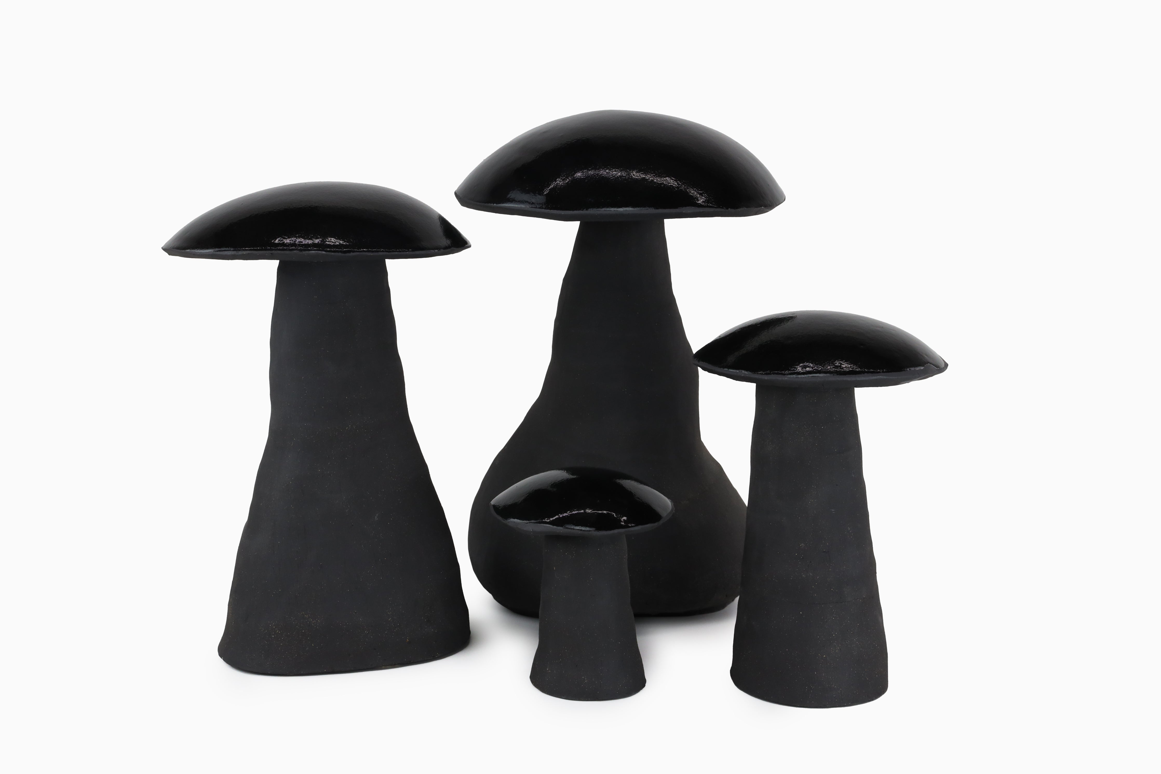 Midnight Magic Mushrooms