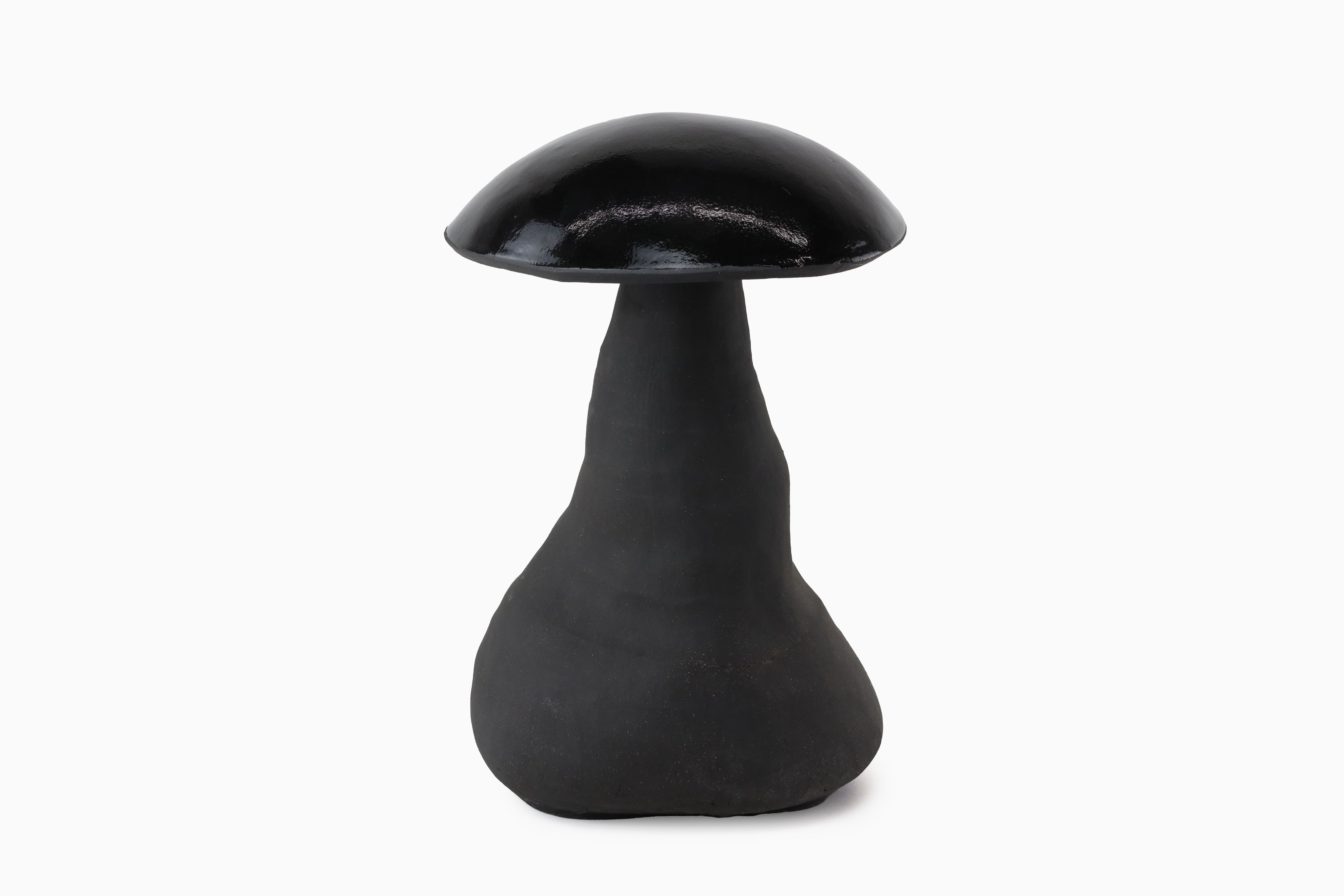 Midnight Magic Mushrooms