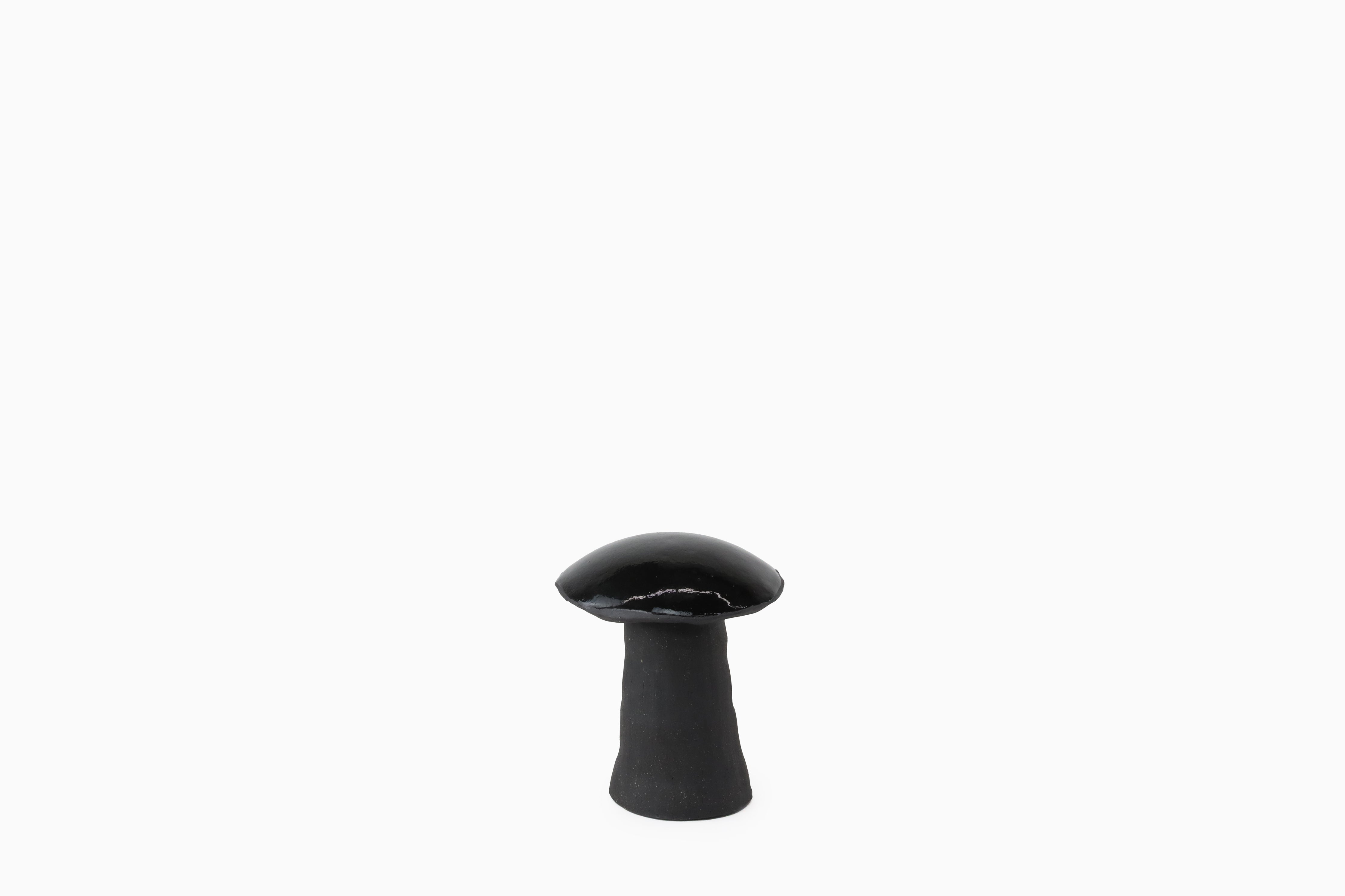 Midnight Magic Mushrooms