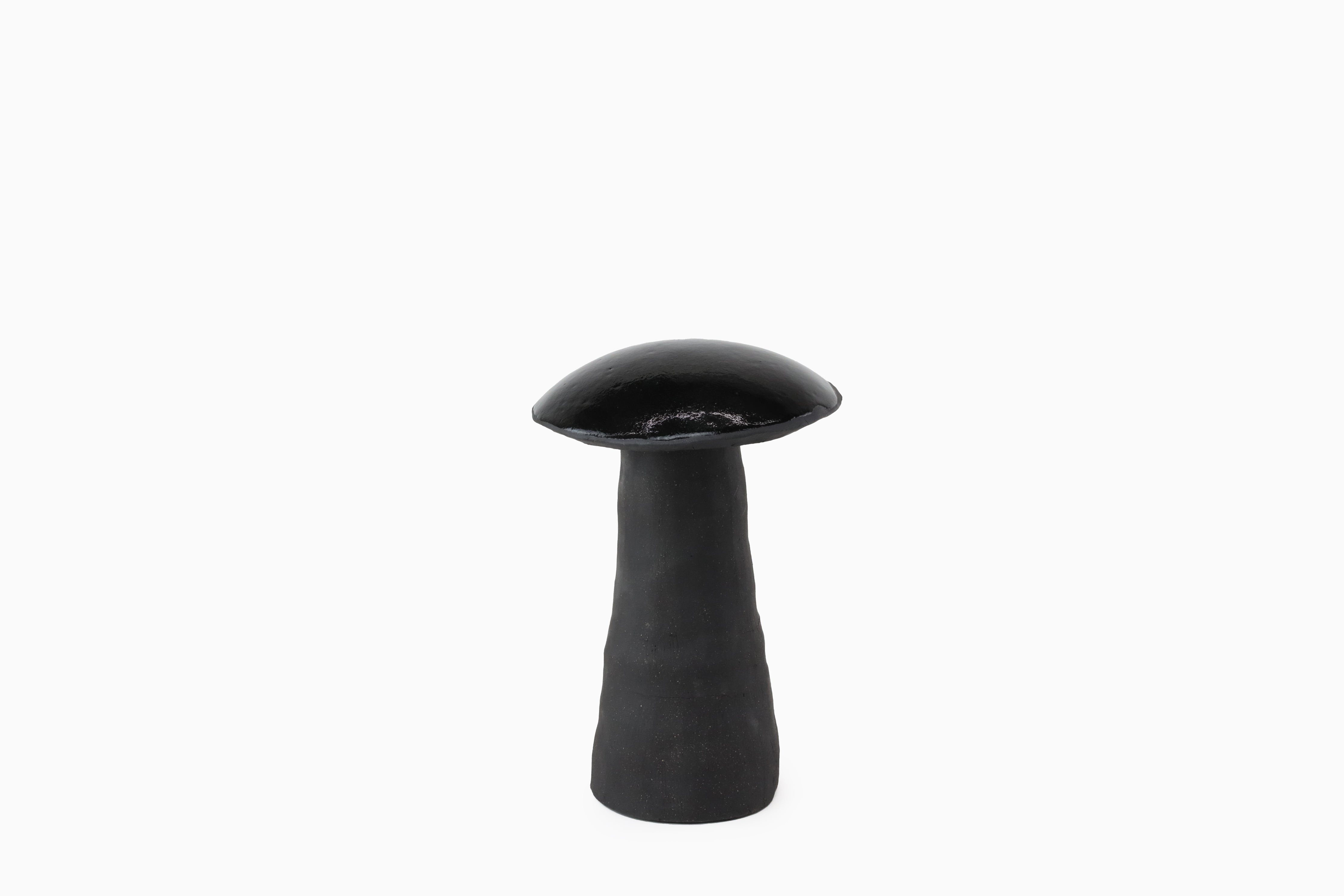 Midnight Magic Mushrooms
