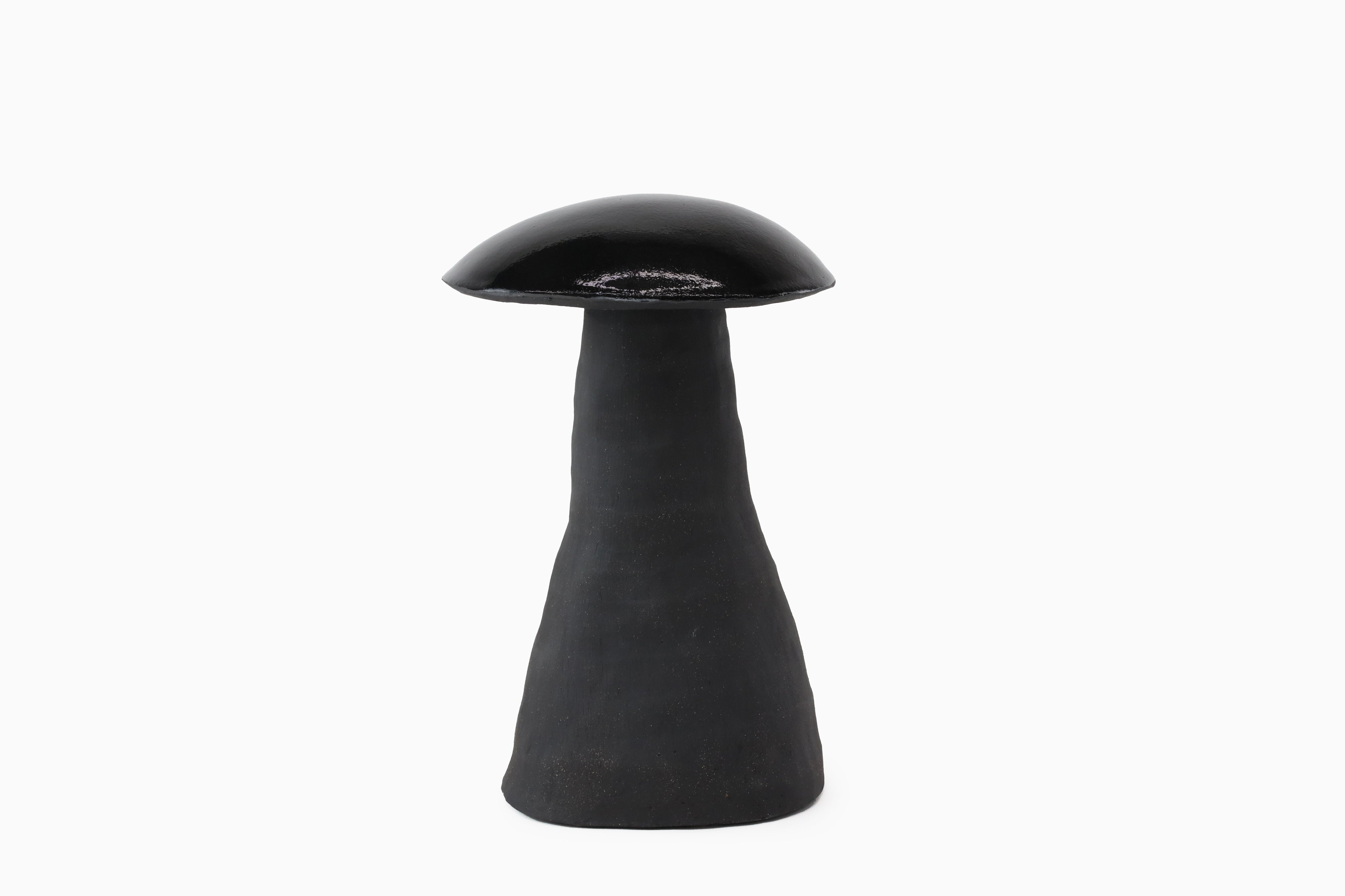Midnight Magic Mushrooms
