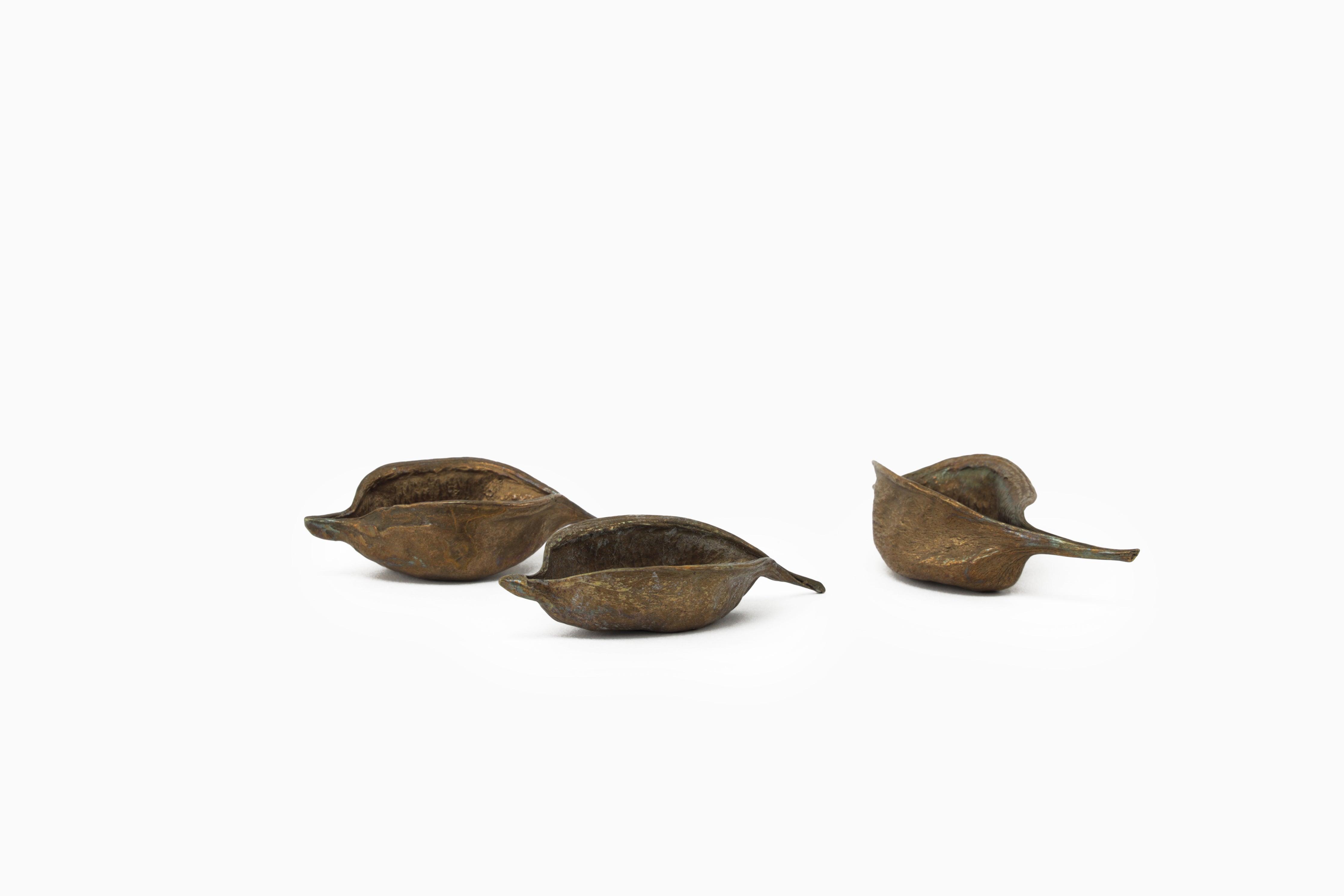 Seed Pod Catchall