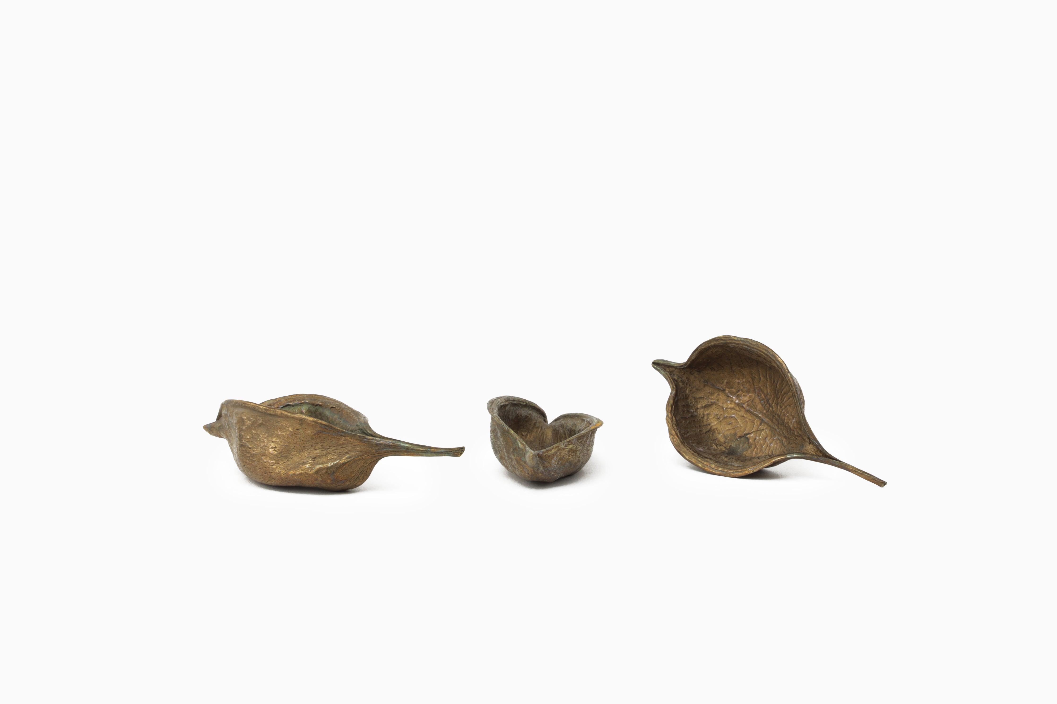 Seed Pod Catchall