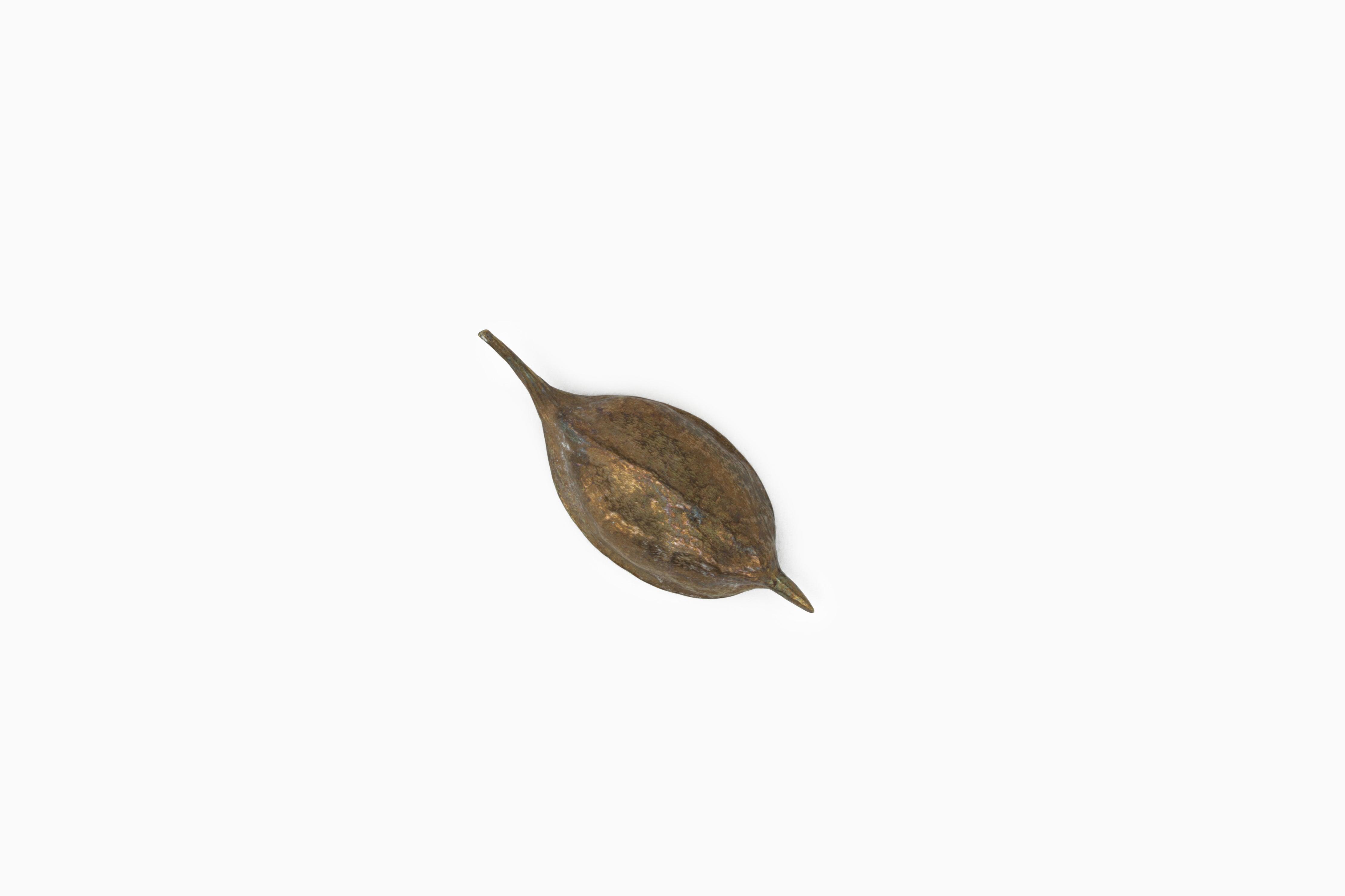 Seed Pod Catchall