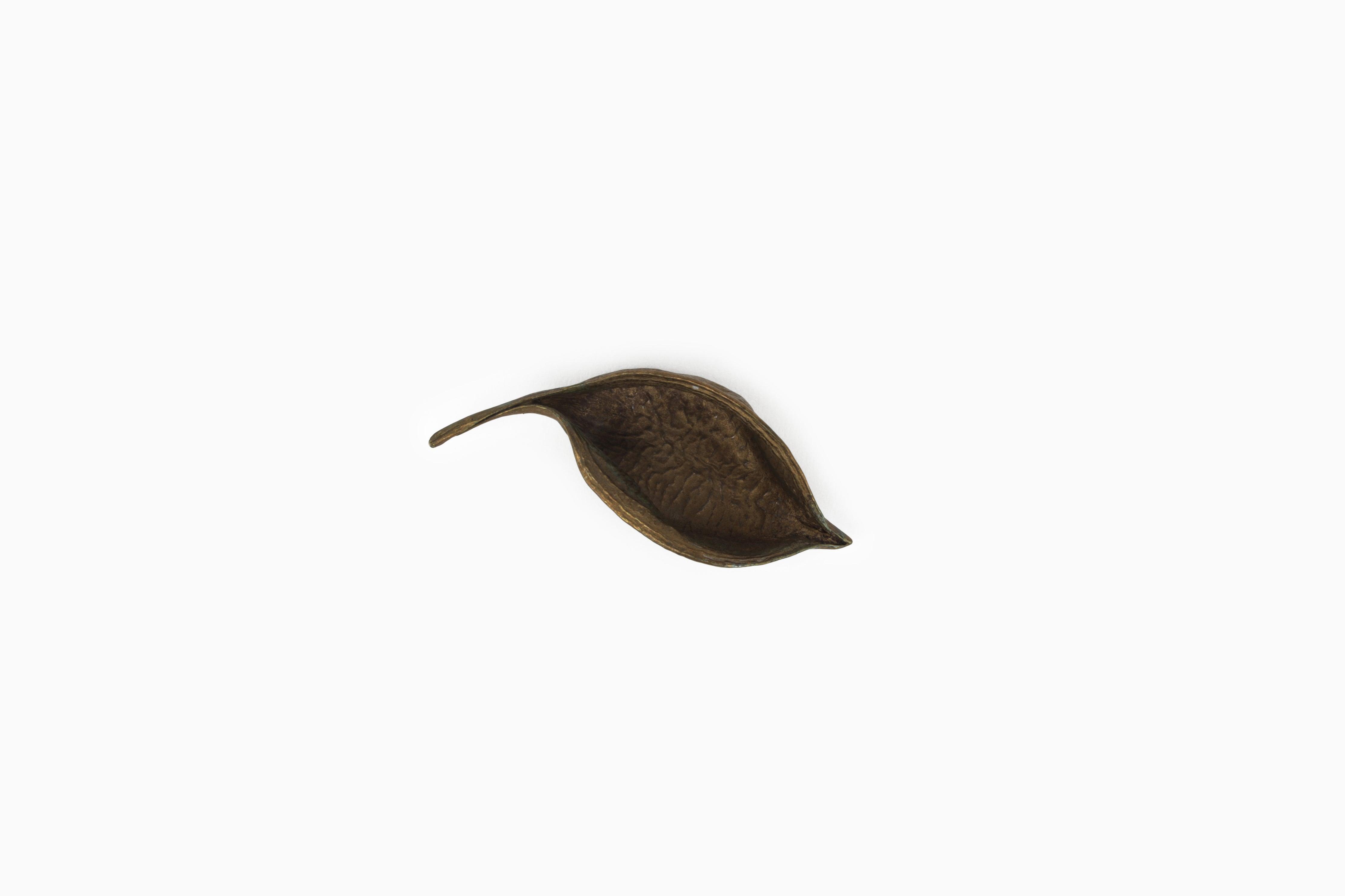 Seed Pod Catchall