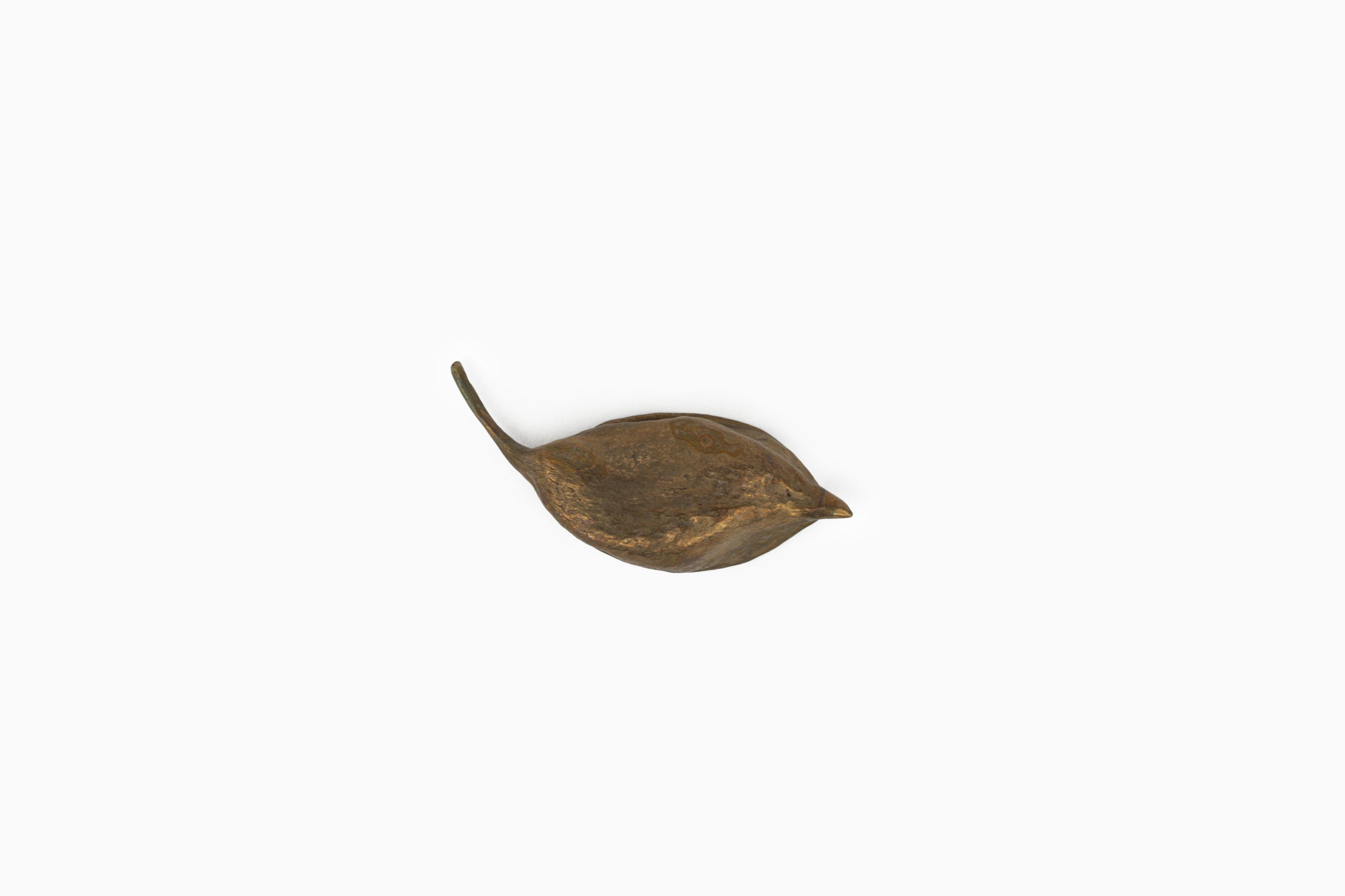 Seed Pod Catchall