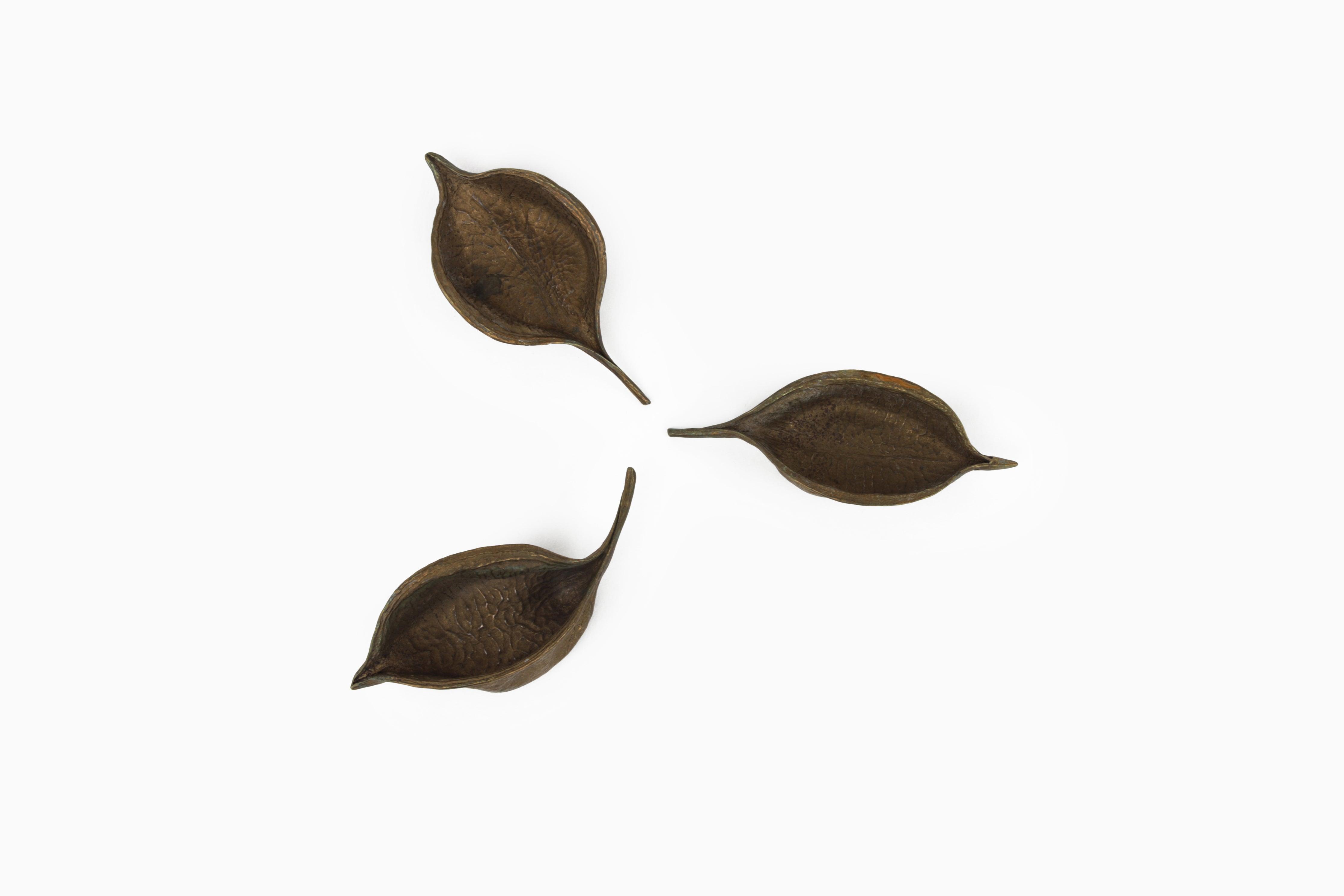 Seed Pod Catchall