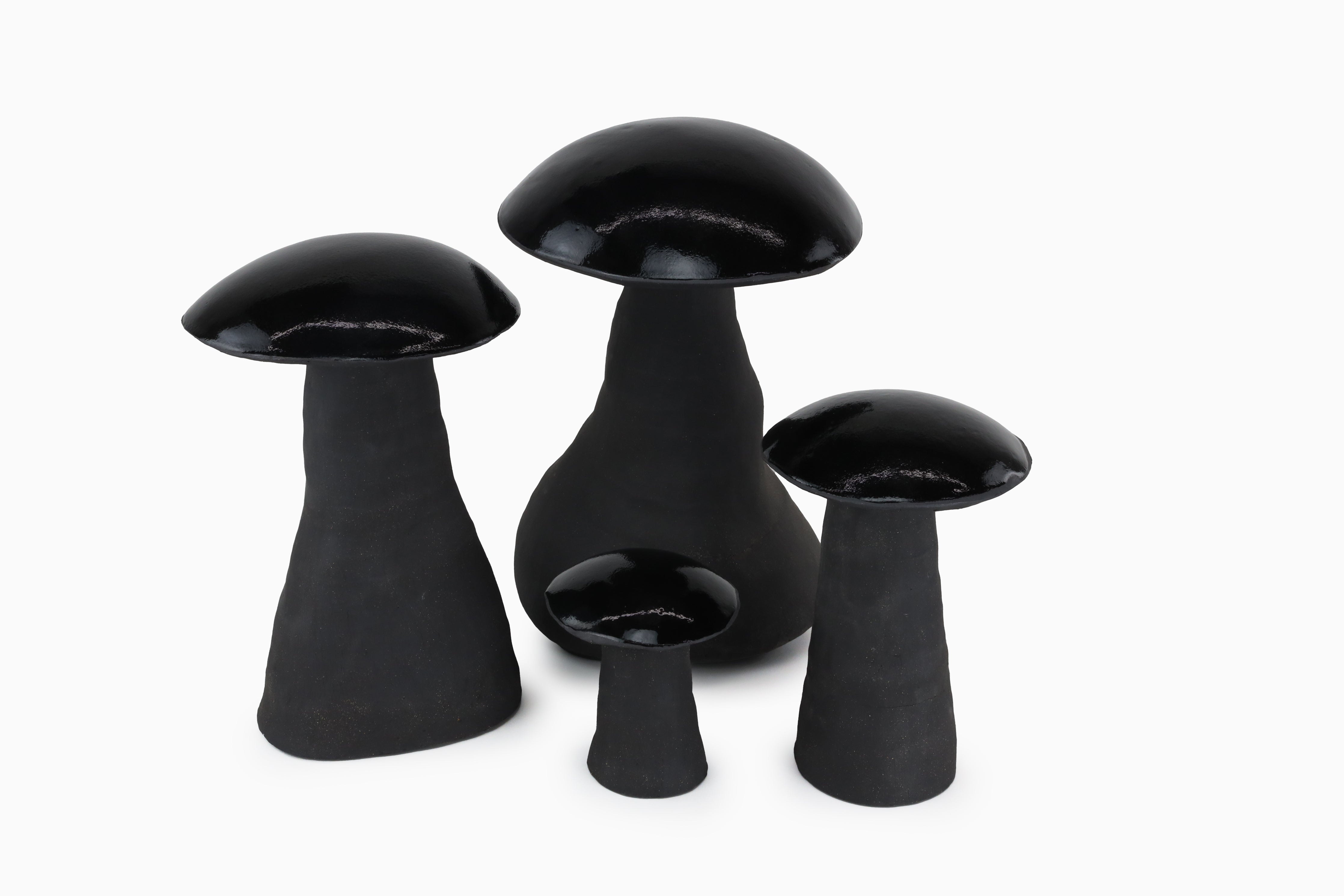 Midnight Magic Mushrooms